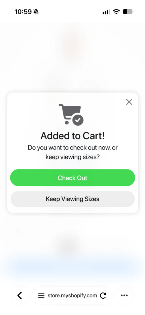 Added to Cart confirmation with Check Out and Keep Viewing Sizes options